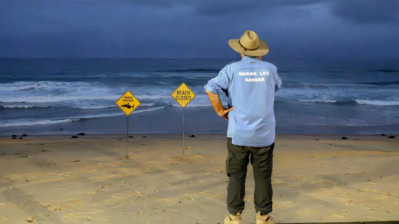 Surfer bitten in fourth shark attack off Australia’s east coast in three days